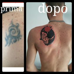 coverup  donna-1