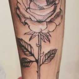 dotwork-3