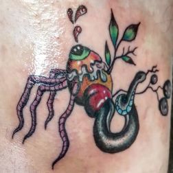 Kaotic Salad-1