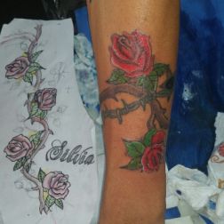 rose-2