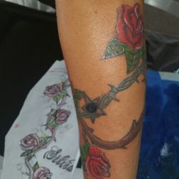 rose-3