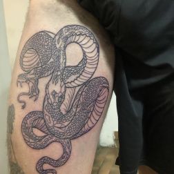 Serpente da finire-1