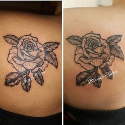 tat3-1