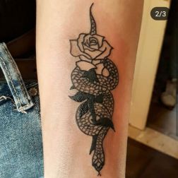 tat 1-1