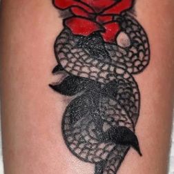 tat 1-2
