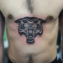 pantera-2