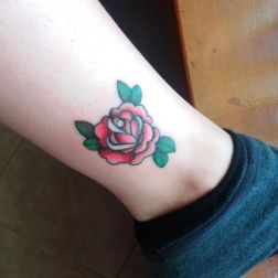 Rosa -1