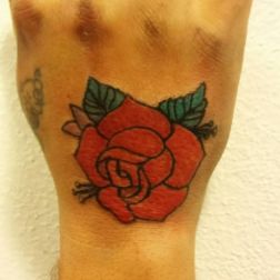 rosa -1
