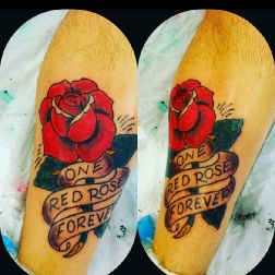 Rosa tradizionale-1