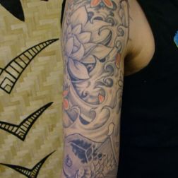 carpa e loto-1