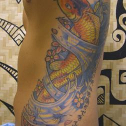 carpa e loto-2