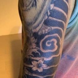cover up jappo -1