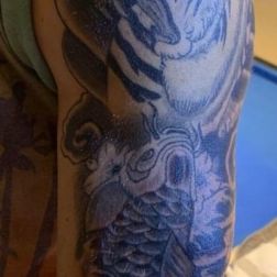 cover up jappo -2