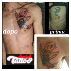 coverup carpa-1