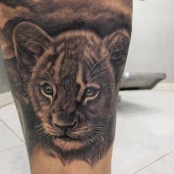 ANIMAL-2