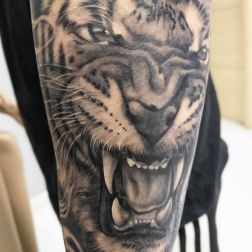 ANIMAL-3