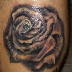 Autotattoo-1
