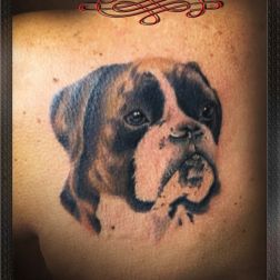 boxer dog-1