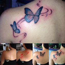Butterfly-1