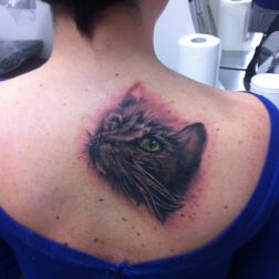cat -1