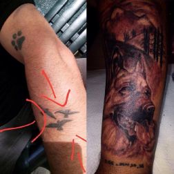 cover up-1