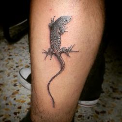 curious lizard -1