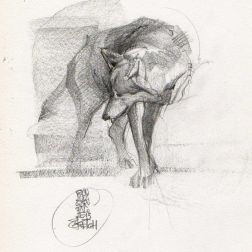 Disegni preparatori-1