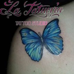 farfalla-1