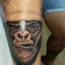 Gorilla-1