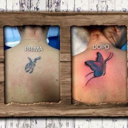 cover up