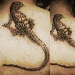 lizard king-1
