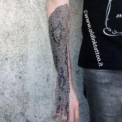 Pelle di serpente-1