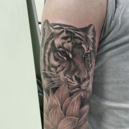 REALISTIC TIGER % LOTUS 
