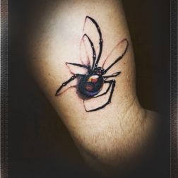 red black spider-1