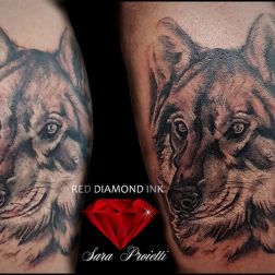 Red Diamond Ink Gallery-2