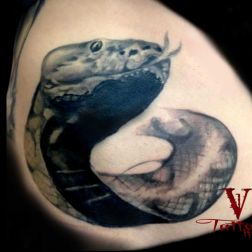 snake-1