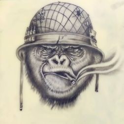 Hola-1