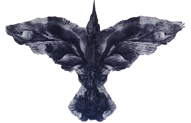 thecrowbanner