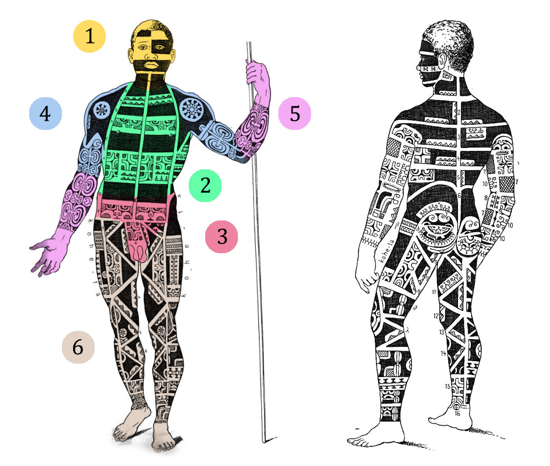 polynesian body parts